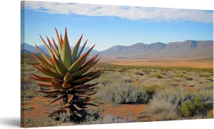 Canvas Wall Art Paintings View Karoo South Africa Stretched Framed ArtworkPoster for Living Room Bedroom Office Wall Decor Ready to Hang 20x40 Inch