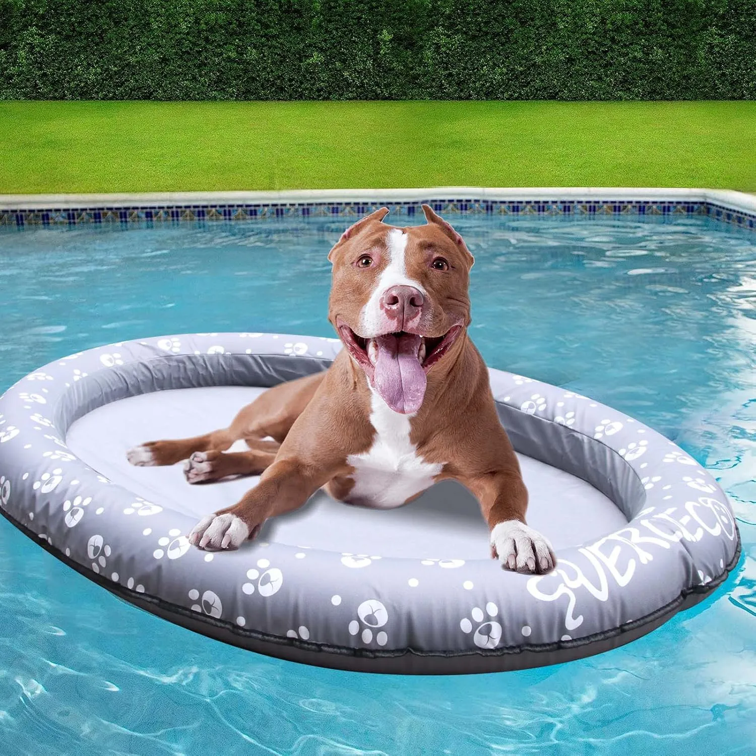 Dog Pool Float Inflatable Dog Floats for Pool Dog Floaties Swimming Pool Floats for Small Medium Large Dog Puncture Proof (Gray)