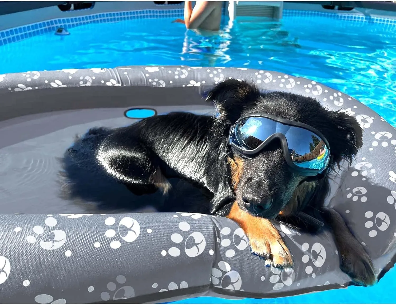 Dog Pool Float Inflatable Dog Floats for Pool Dog Floaties Swimming Pool Floats for Small Medium Large Dog Puncture Proof (Gray)