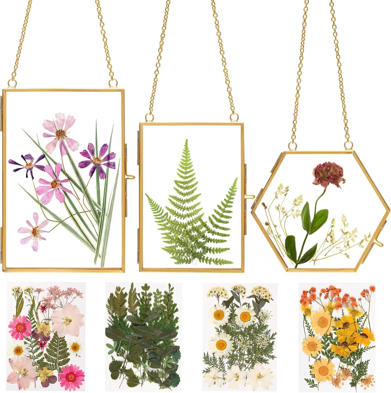 Double Glass Frame for Pressed Flowers - w/Real Dried Flowers and Tweezer for Handicrafts, Photo, or Other Small Flat Items