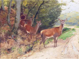 Kroner Pack Red Deer Crossing Track Nature Painting Extra Large Wall Art Print Premium Canvas Mural