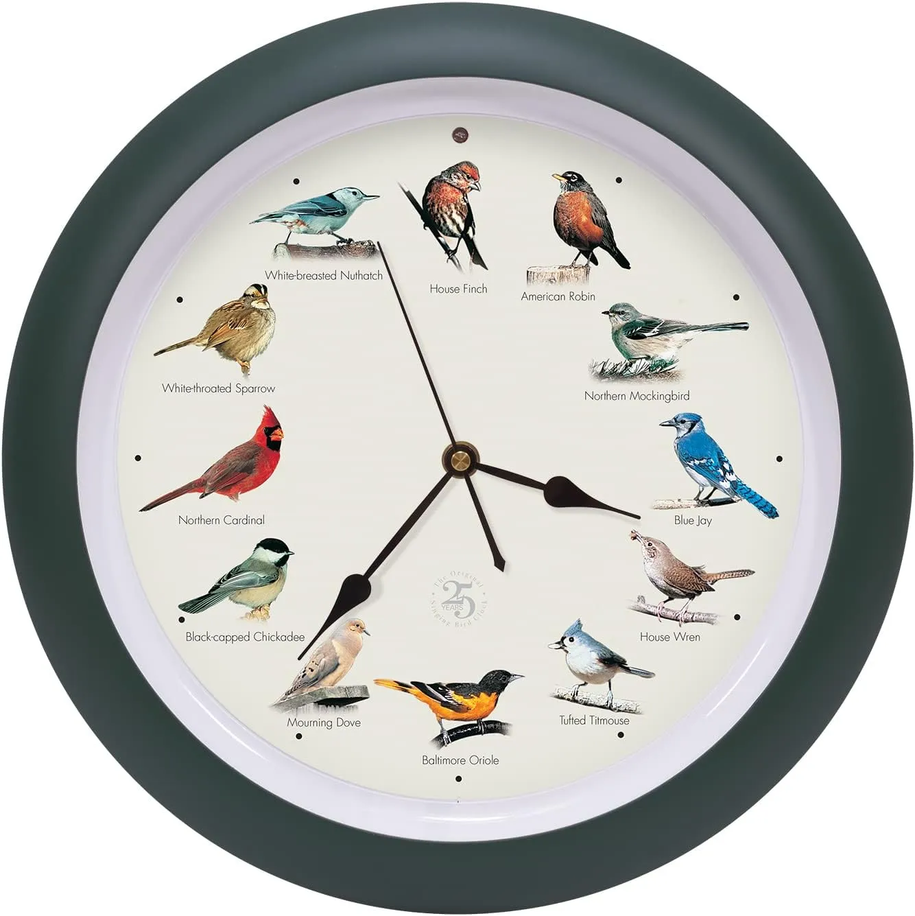 Mark Feldstein & Associates The Original Singing Bird Clock 25th Anniversary Edition, As Seen On TV (13 Inch, Matte Green)