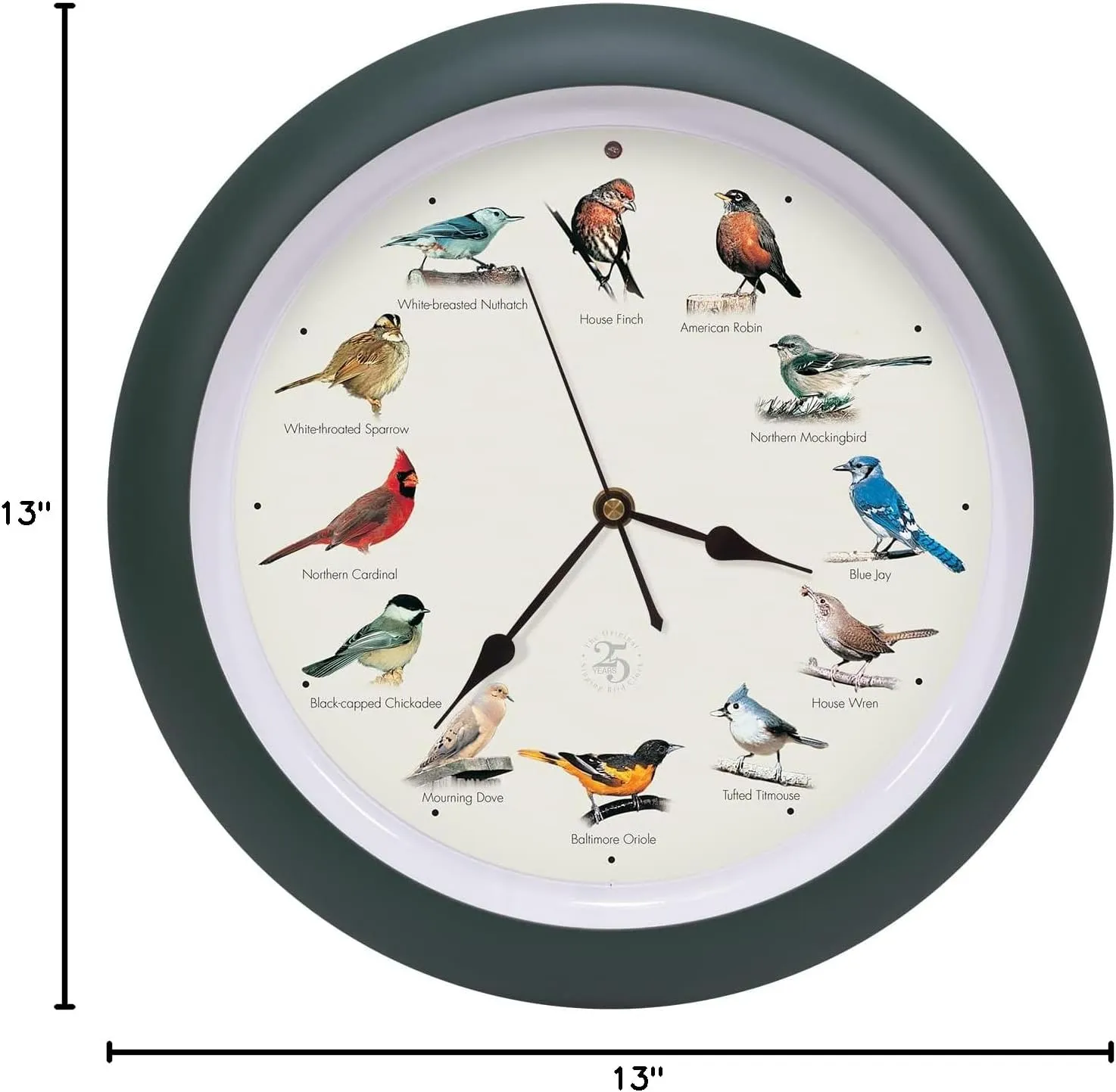 Mark Feldstein & Associates The Original Singing Bird Clock 25th Anniversary Edition, As Seen On TV (13 Inch, Matte Green)