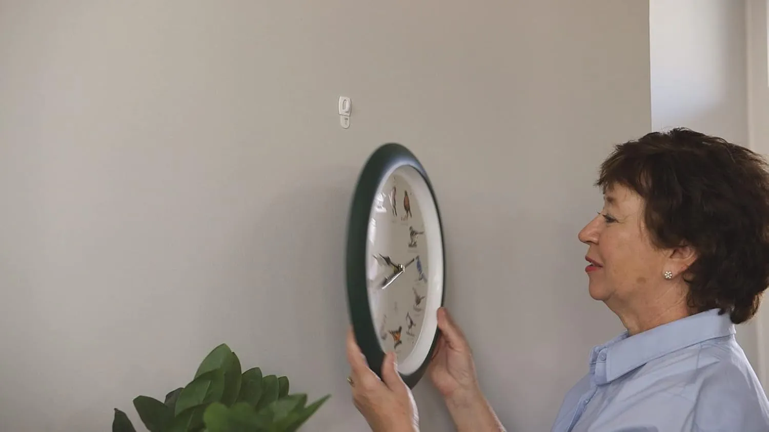 Mark Feldstein & Associates The Original Singing Bird Clock 25th Anniversary Edition, As Seen On TV (13 Inch, Matte Green)