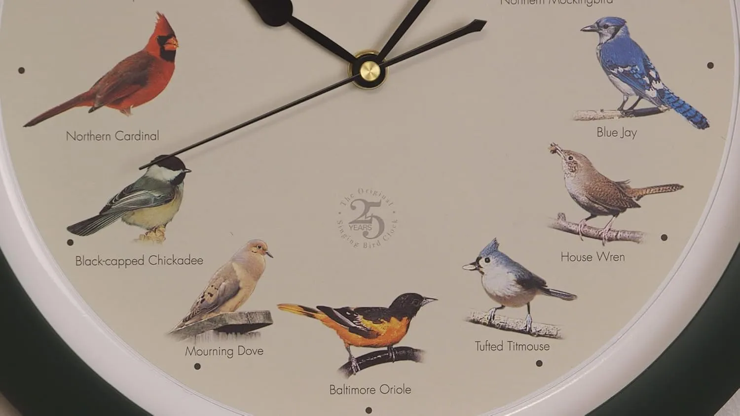 Mark Feldstein & Associates The Original Singing Bird Clock 25th Anniversary Edition, As Seen On TV (13 Inch, Matte Green)