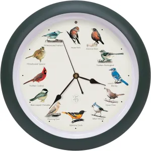 Mark Feldstein & Associates The Original Singing Bird Clock 25th Anniversary Edition, As Seen On TV (13 Inch, Matte Green)