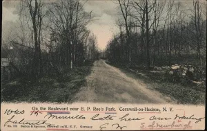 On the Boulevard near E.P. Roe's Park Cornwall-on-Hudson, New York NY Original Antique Postcard
