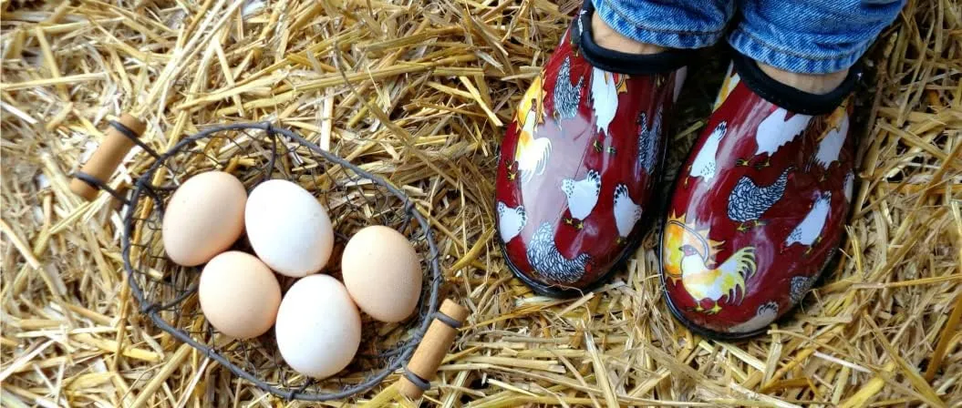 Sloggers Original Waterproof Rain and Garden Shoe for Women– Outdoor Slip-On Garden Clog - Made in The USA with Premium Comfort Insole and Arch Support - Chicken Print Barn Red, Size 8