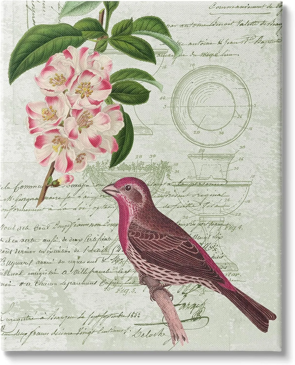 Stupell Industries Antique Bird House Patent Vintage Tree Florals Rosy-Finch, Design by Daphne Polselli Canvas Wall Art, 24 x 30, Green