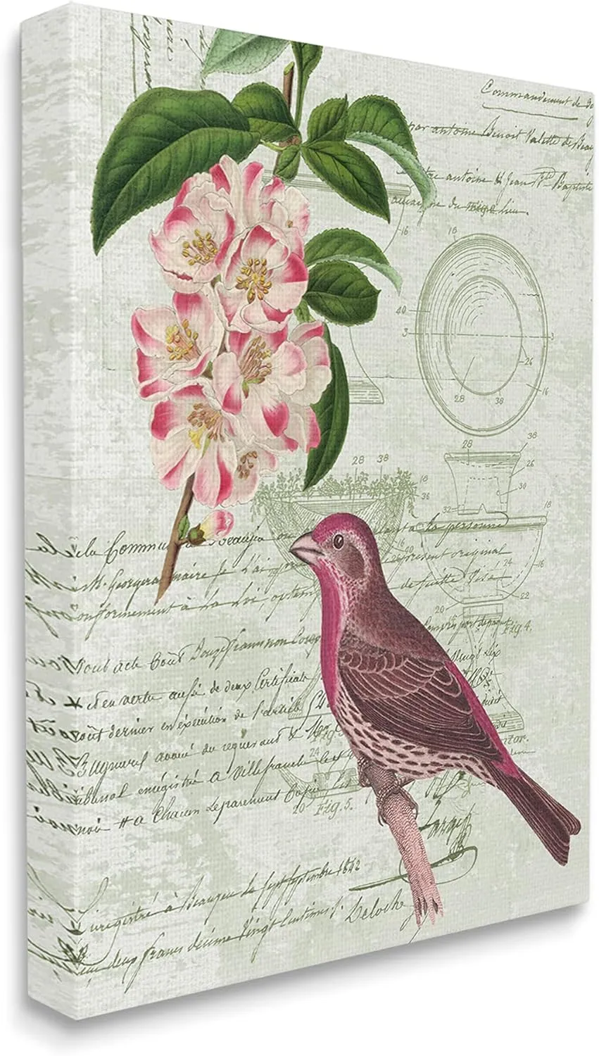 Stupell Industries Antique Bird House Patent Vintage Tree Florals Rosy-Finch, Design by Daphne Polselli Canvas Wall Art, 24 x 30, Green